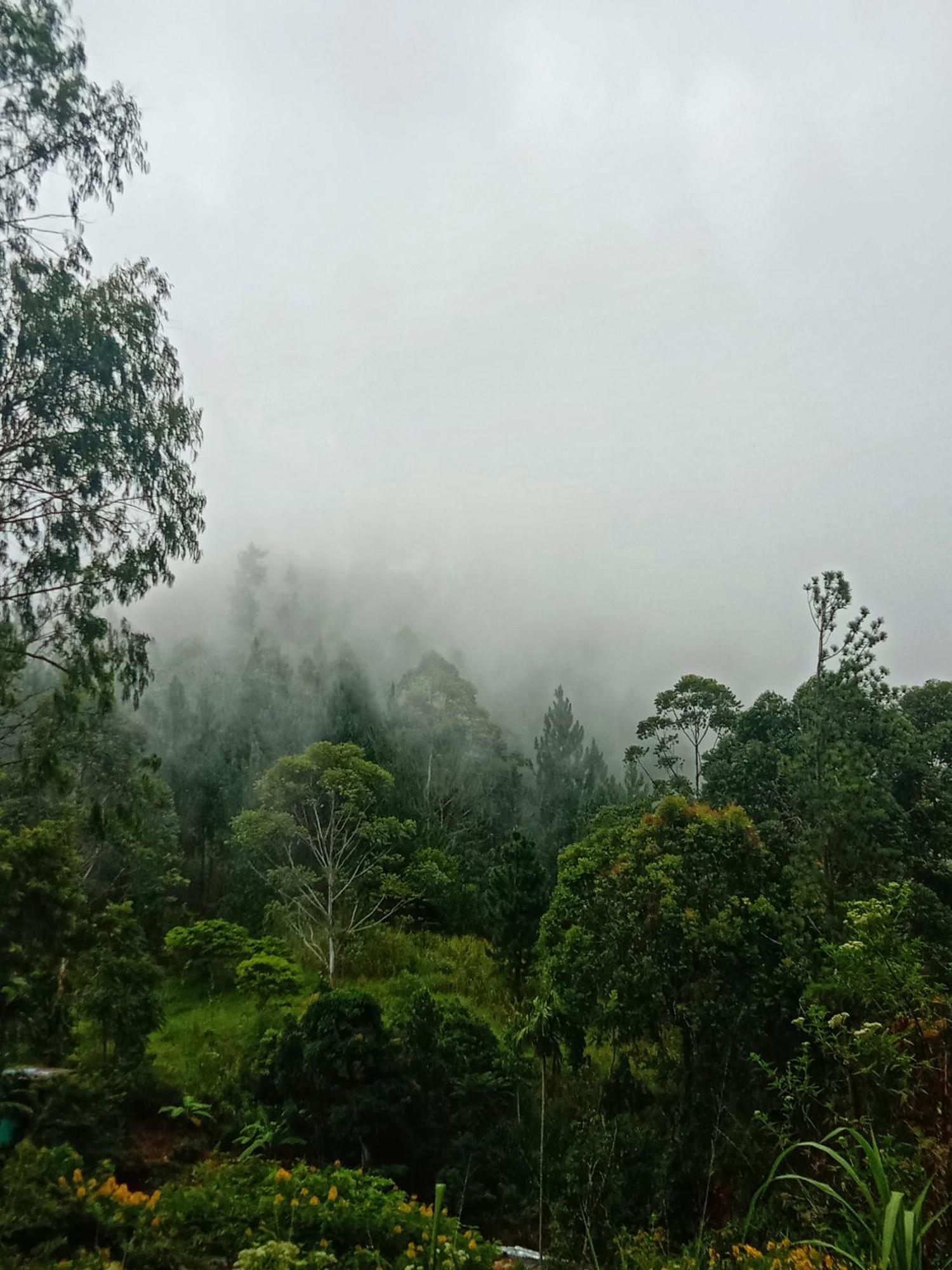 New Rose Villa Bandarawela Ella Exterior foto