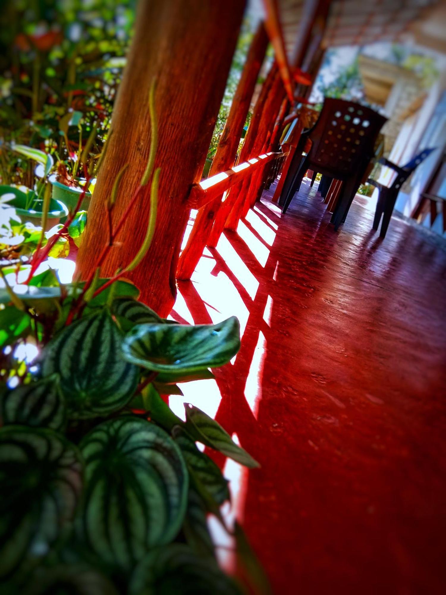 New Rose Villa Bandarawela Ella Exterior foto