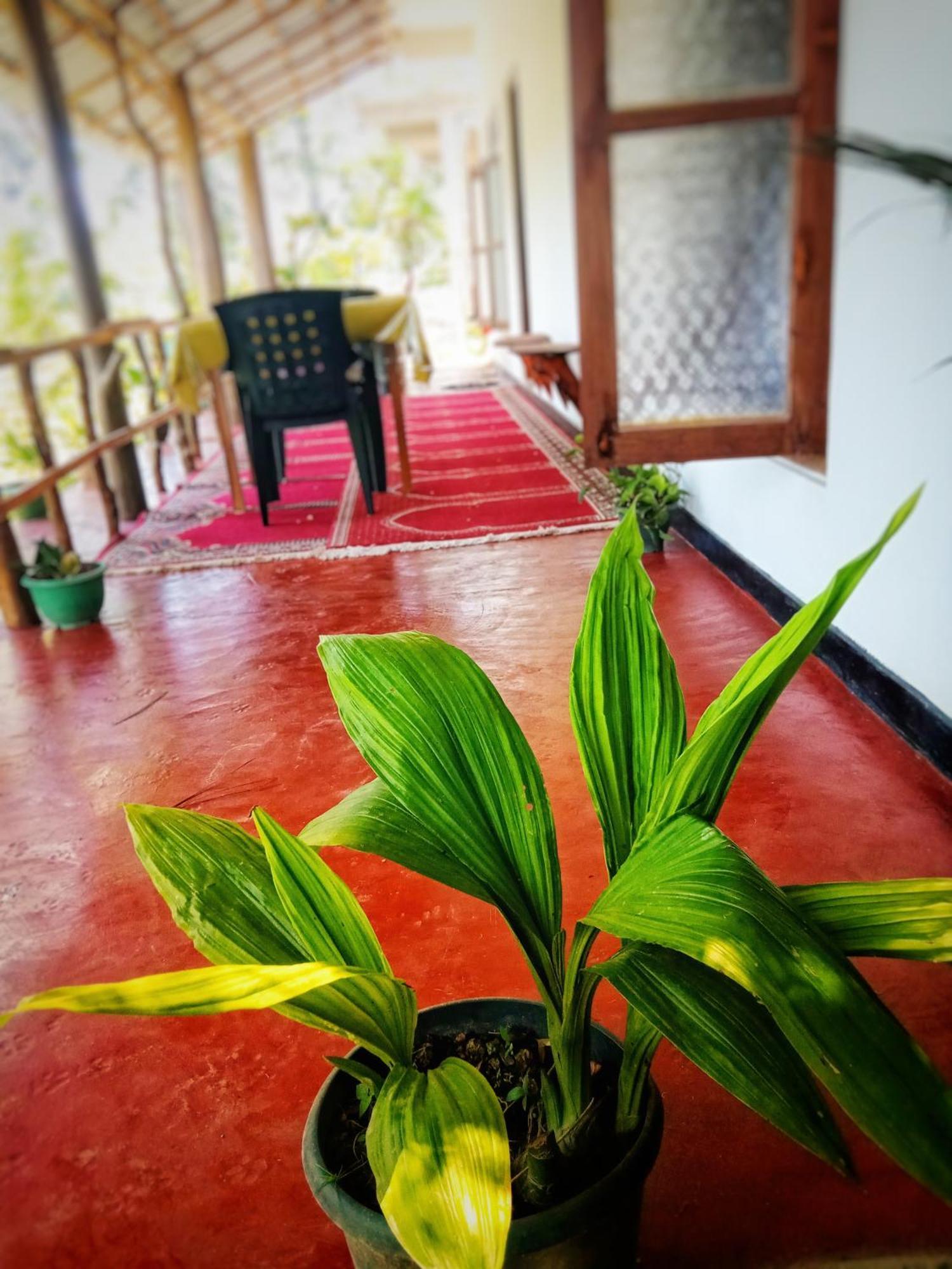 New Rose Villa Bandarawela Ella Exterior foto