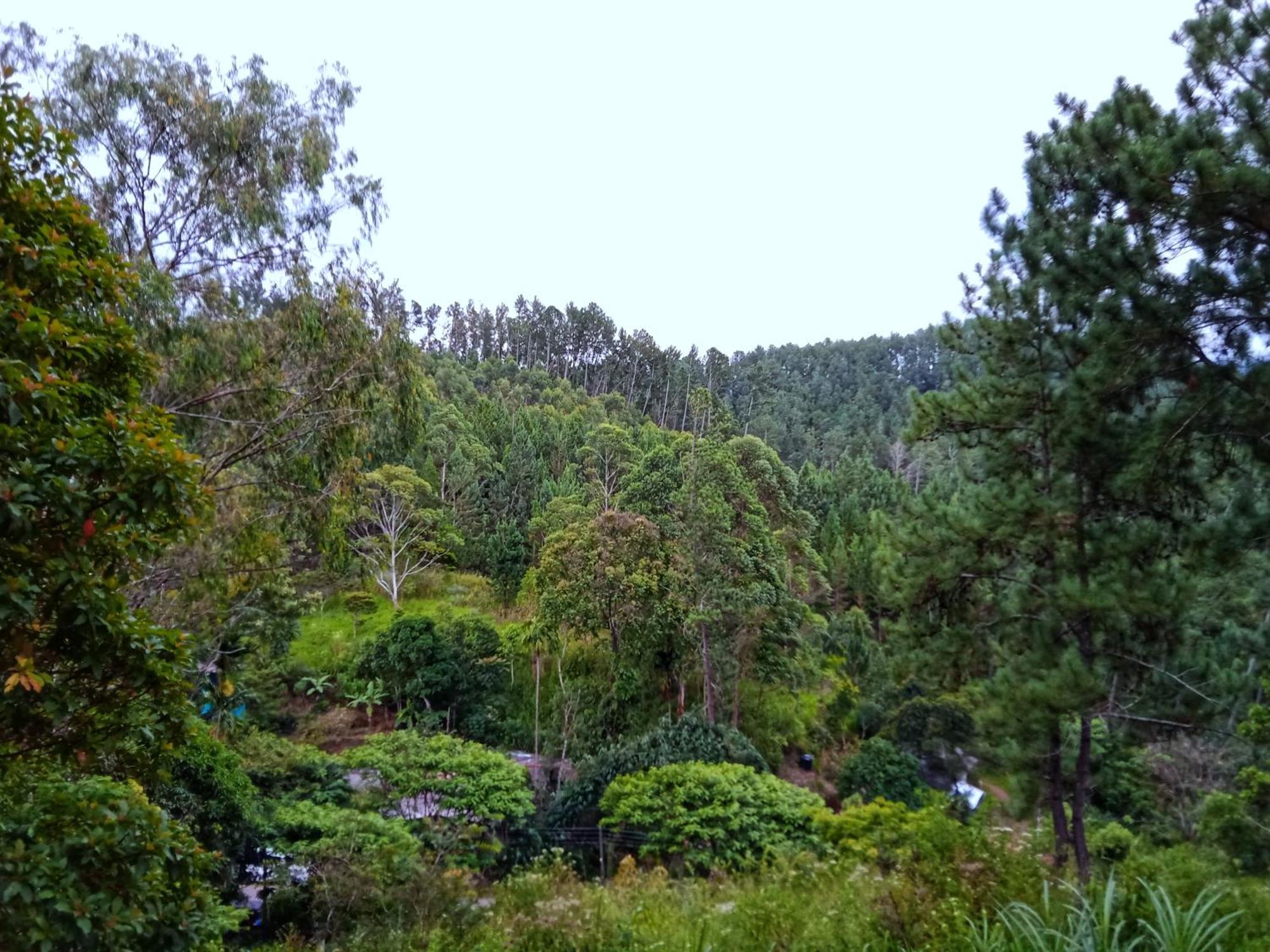 New Rose Villa Bandarawela Ella Exterior foto