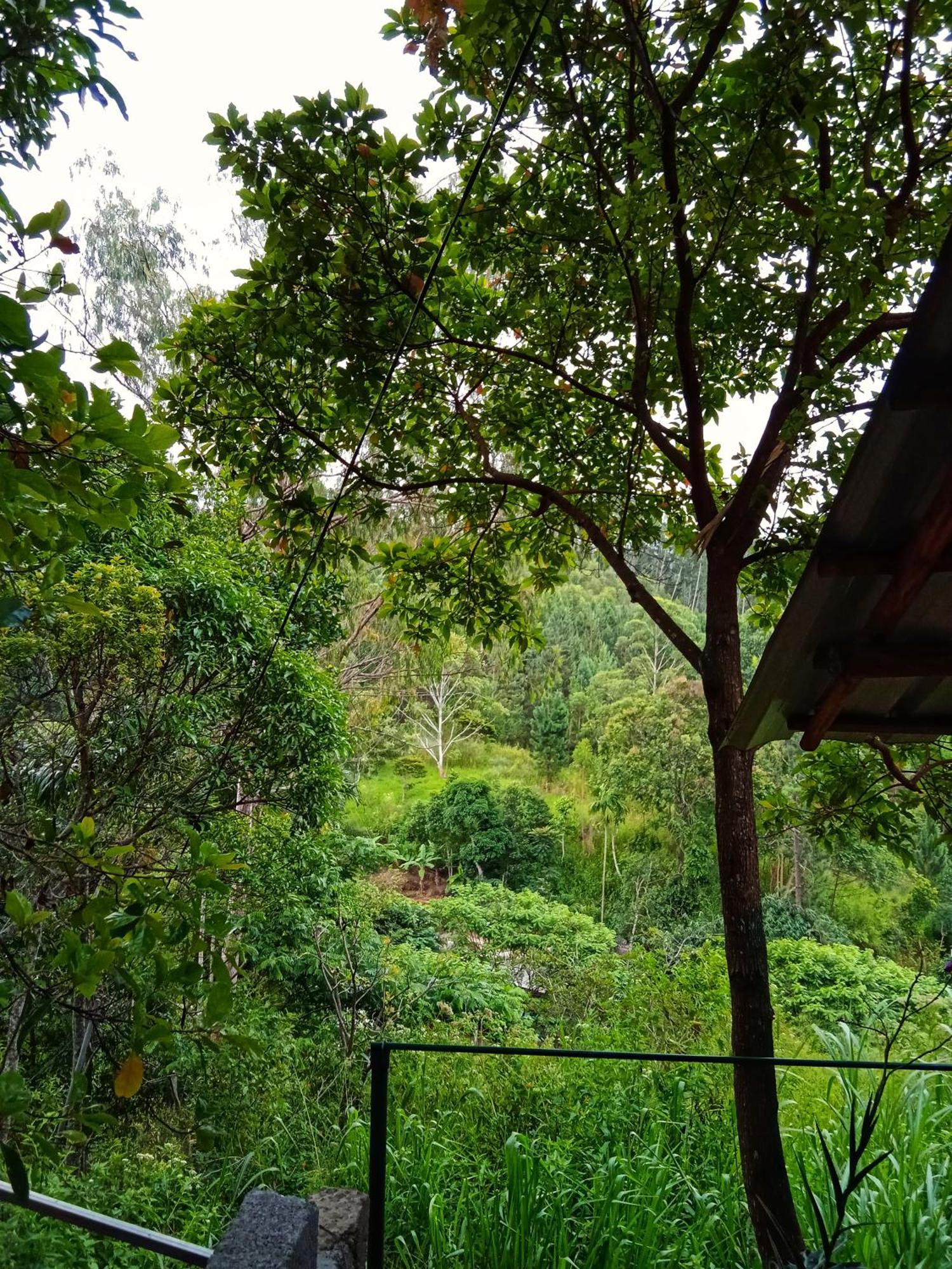 New Rose Villa Bandarawela Ella Exterior foto